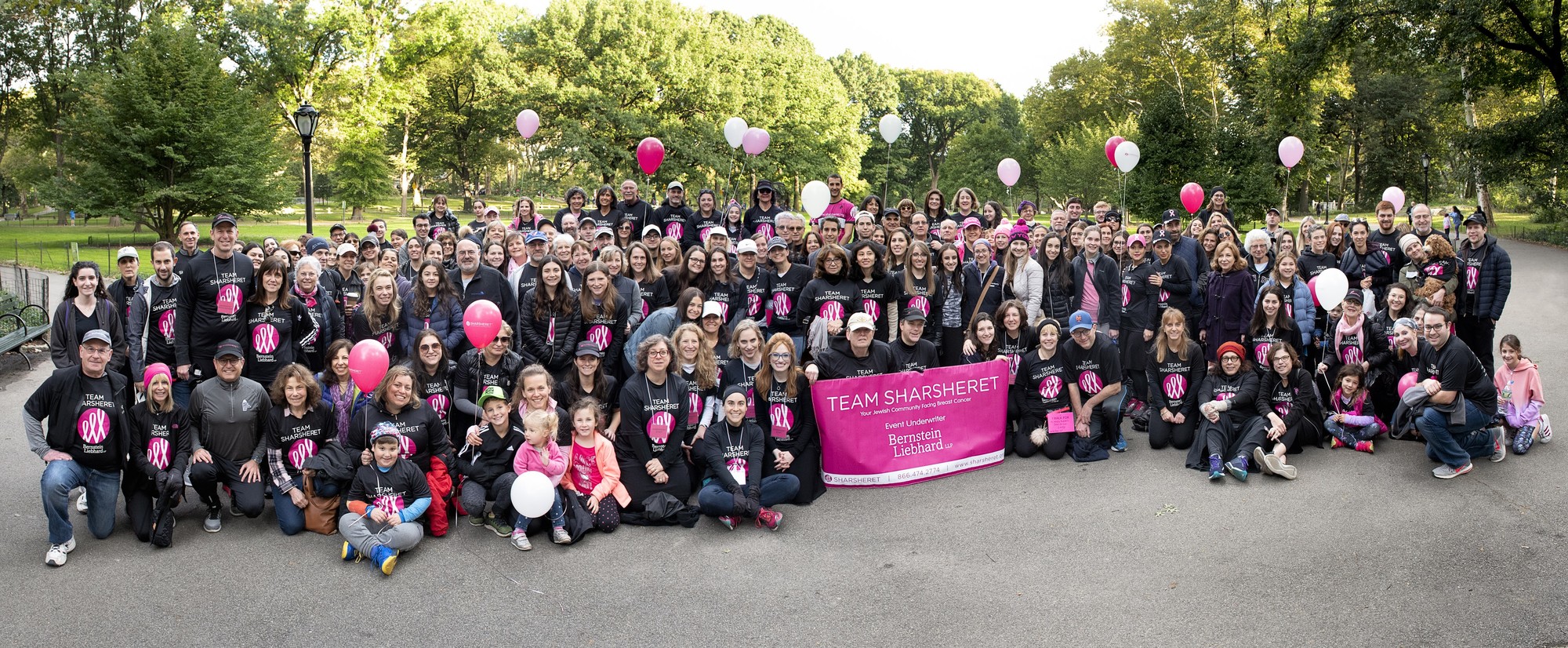 Community Partners Help Improve The Board Of A Breast